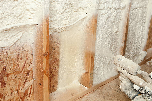 Best Spray Foam Insulation  in Lake Park, FL